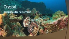  Presentation with sea cucumber - PPT layouts having food under a sea cucumber background and a ocean colored foreground