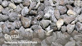  Presentation with dried food - Audience pleasing PPT layouts consisting of food vending - dried figs backdrop and a  colored foreground