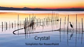  Presentation with hatchery - Presentation theme enhanced with food background and a teal colored foreground