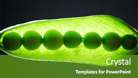  Presentation with green pea plant - Presentation theme featuring foodborne - seeds inside of green pea background and a  colored foreground