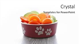  Presentation with dog food - Beautiful slides featuring foods raw - organic dog food backdrop and a  colored foreground
