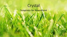  Presentation with sports field - Colorful PPT theme enhanced with green field of grass backdrop and a yellow colored foreground