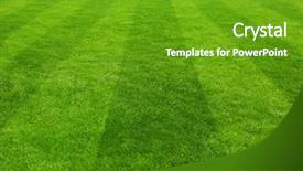  Presentation with football field - Slides featuring football field background background and a tawny brown colored foreground