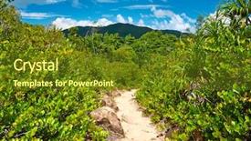  Presentation with nata de coco tropical - Slide deck having foothpath in wild tropical nature background and a tawny brown colored foreground