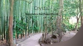  Presentation with bamboo - Cool new PPT theme with footpath-in-bamboo-garden-hokokuji backdrop and a seafoam green colored foreground
