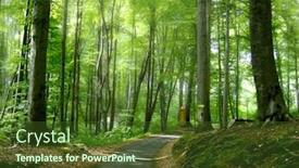 Presentation with forest - Presentation theme enhanced with footpath-in-beech-forest background and a tawny brown colored foreground