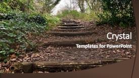  Presentation with woodland - Slide set consisting of footpath steps uphill in deciduous background and a tawny brown colored foreground