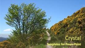 Presentation with algal bloom - Presentation design with footpath-with-tree-and-gorse background and a tawny brown colored foreground