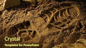  Presentation with footprint - Presentation with footprint on a sandy surface background and a tawny brown colored foreground