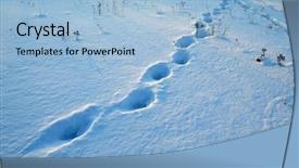  Presentation with footprints - Audience pleasing presentation theme consisting of footprints in the snow backdrop and a light blue colored foreground
