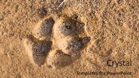  Presentation with footstep - Theme with footstep of a large dog background and a coral colored foreground