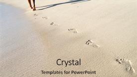  Presentation with footprints sand - Audience pleasing slide set consisting of agriculture field for insect control backdrop and a gray colored foreground