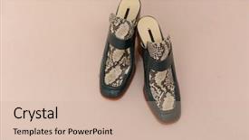  Presentation with pattern - Theme having womens footwear - women' fashionable snake pattern shoes background and a soft green colored foreground