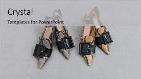  Presentation with women designing - PPT theme consisting of womens footwear - women' fashionable snake pattern designed background and a  colored foreground