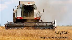  Presentation with forage - PPT layouts with forage crop in the field background and a gold colored foreground