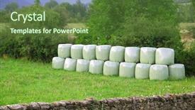  Presentation with forage - Presentation theme enhanced with forage crops - cereal bales round green plastic background and a tawny brown colored foreground