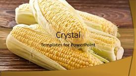  Presentation with forage - PPT theme having forage crops - corncobs on a wooden table background and a yellow colored foreground