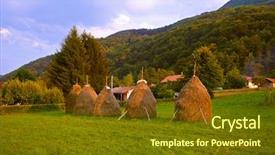  Presentation with forage - Beautiful slide deck featuring forage crops - hay in stacks - village backdrop and a  colored foreground