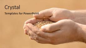  Presentation with forage - Colorful theme enhanced with forage crops - man holding handful of wheat backdrop and a coral colored foreground