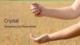  Presentation with grains - Theme featuring forage crops - man pouring wheat grains background and a coral colored foreground