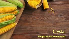  Presentation with forage - Slide deck having forage crops - ripe corn on cutting board background and a  colored foreground