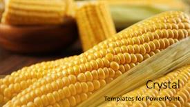  Presentation with forage - Beautiful slide set featuring forage crops - ripe corn on wooden background backdrop and a  colored foreground