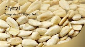  Presentation with forage - Presentation theme enhanced with forage crops - roasted sunflower seeds close up background and a yellow colored foreground