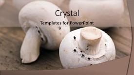  Presentation with forage - Presentation design consisting of forage crops - white mushroom background and a  colored foreground