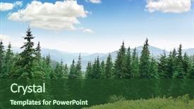  Presentation with pine trees - PPT layouts with forest - beautiful pine trees on background background and a tawny brown colored foreground