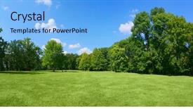  Presentation with park - Amazing PPT layouts having forest - panorama of big city park backdrop and a light blue colored foreground