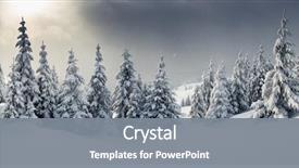  Presentation with snow covered trees and falling - Theme having forest - trees covered with hoarfrost background and a gray colored foreground