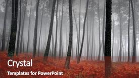  Presentation with winter forest - Theme consisting of forest - winter landscape background and a tawny brown colored foreground