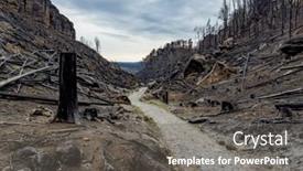  Presentation with forest fire - PPT layouts enhanced with forest-after-a-devastating-fire background and a gray colored foreground