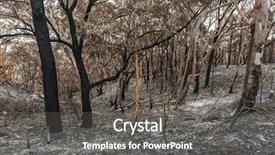  Presentation with australian - Cool new presentation with forest after the serious bushfire backdrop and a dark gray colored foreground