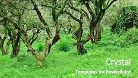  Presentation with green lawn - Presentation design consisting of forest and green lawn background and a seafoam green colored foreground