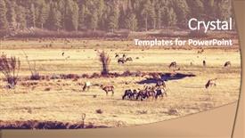  Presentation with groundwater spring - PPT theme enhanced with forest animals - deers on spring meadow background and a coral colored foreground