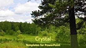  Presentation with dark forest landscape - Beautiful slide set featuring forest at summer day landscape backdrop and a  colored foreground