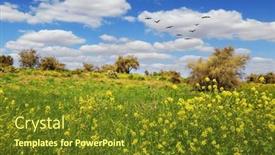  Presentation with clean air - Presentation theme consisting of forest-ben-shemen-common-colza background and a  colored foreground