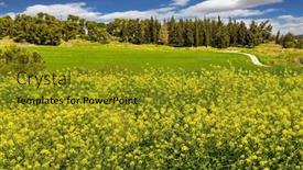  Presentation with clean air - PPT layouts with forest-ben-shemen-common-colza background and a  colored foreground
