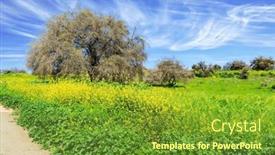  Presentation with abstract green forest - Presentation consisting of forest-ben-shemen-the-famous background and a  colored foreground