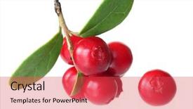  Presentation with leaves - PPT theme featuring forest berry cowberry with leaves background and a red colored foreground