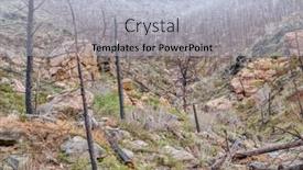  Presentation with wildfire - Cool new slide set with forest-burned-by-recent-wildfire backdrop and a  colored foreground