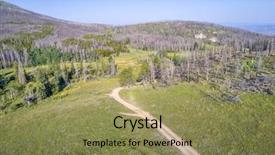  Presentation with montana - Colorful theme enhanced with forest burned by wildfire backdrop and a yellow colored foreground