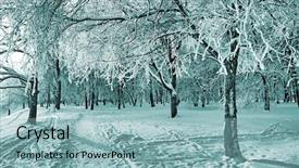  Presentation with tree - Amazing theme having forest city - tree in park backdrop and a light blue colored foreground