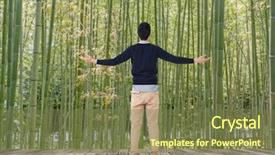  Presentation with free zen - Cool new presentation theme with forest concept of relax free backdrop and a  colored foreground