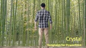  Presentation with beautiful of bamboo forest - Beautiful slide set featuring forest concept of relax free backdrop and a  colored foreground