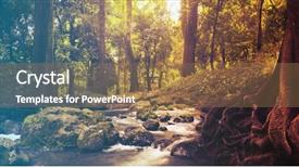  Presentation with stones - PPT theme with forest creek running background and a coral colored foreground
