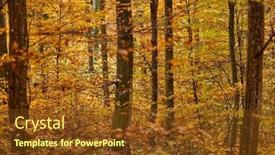  Presentation with autumn leaves - Slides consisting of forest-detail-with-colorful-autumn background and a  colored foreground