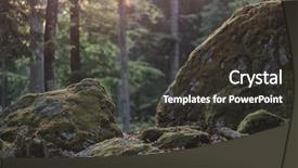  Presentation with woods - Theme consisting of forest details rock and woods background and a dark gray colored foreground