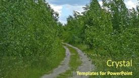  Presentation with forest road - Presentation theme enhanced with forest-dirt-road background and a tawny brown colored foreground
